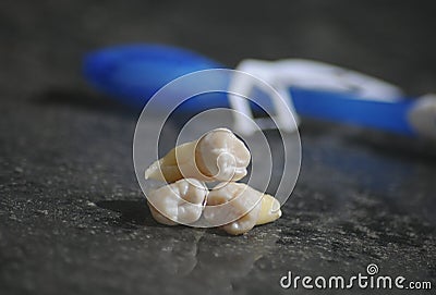 Healthy teeth and cavity tooth on grey dentist background Stock Photo