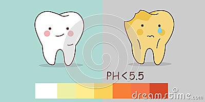 Healthy teeth and tooth decay Vector Illustration