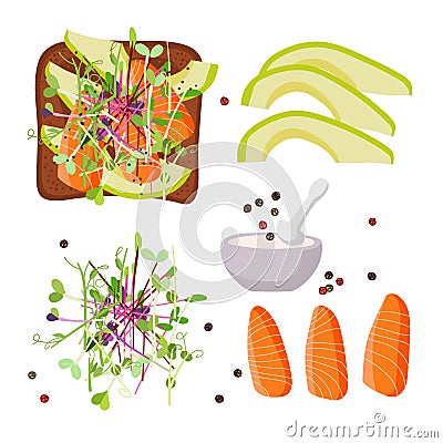 Healthy toast and ingredients. Recipe for useful snack with avocado, salmon, micro green, ground pepper. For menu, cafe Vector Illustration