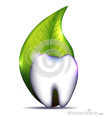 Healthy tooth and leaf Vector Illustration