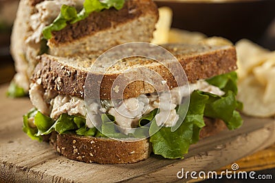 Healthy Tuna Sandwich with Lettuce Stock Photo