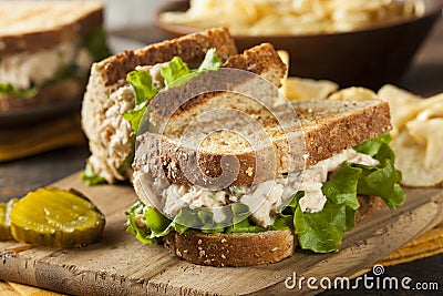 Healthy Tuna Sandwich with Lettuce Stock Photo