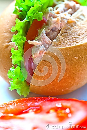Healthy tuna sandwich with tomatoes and salad. Stock Photo