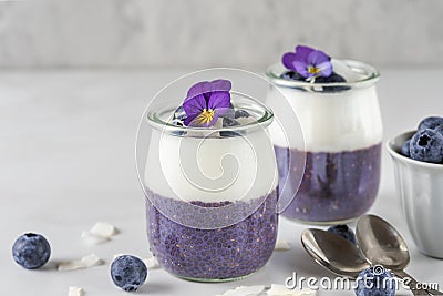 Healthy vegan breakfast of blueberry chia pudding with fresh berries, coconut yogurt and edible flowers in glasses Stock Photo