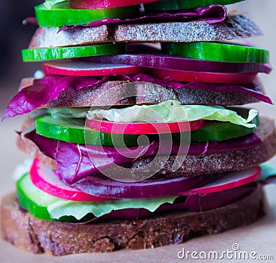 Healthy vegan sandwich with fresh vegetables Stock Photo