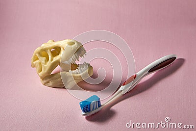 Healthy white teeth in a dinosaur. Toothbrush, raptor skull on a pink background Stock Photo