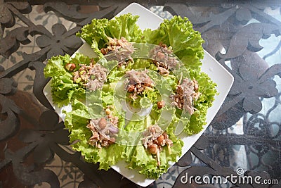 Healthy wrap salad roll with tuna Stock Photo