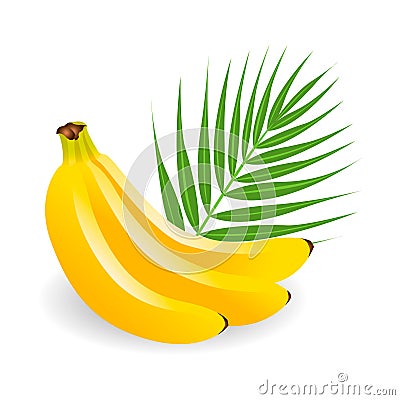 Healthy, yellow tropical fruits - bananas Vector Illustration