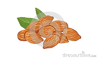 Heap of almonds isolated. Vector illustration of nuts Vector Illustration