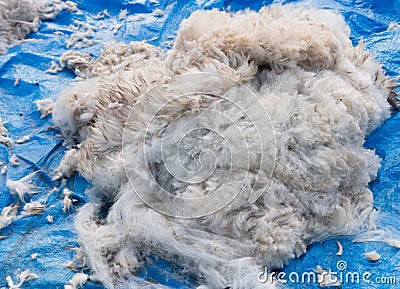 Heap of alpaca fiber Stock Photo