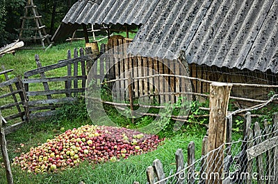 Heap Of Apples in Village Rustic Country Side Stock Photo