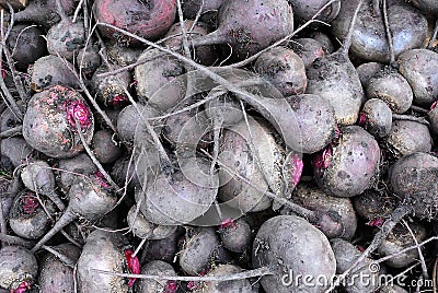 Heap of Beet Stock Photo