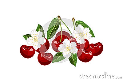 Heap of cherry isolated on white background. Red ripe berry, green leaves and white flowers. Vector illustration of fruits Vector Illustration