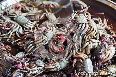 Heap of crabs at asian seafood market Stock Photo