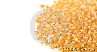 Heap of Dried corn used for making popcorn Stock Photo