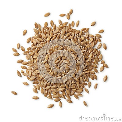 Heap of Einkorn wheat seeds Stock Photo