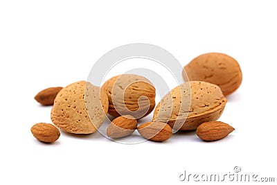Heap of fresh almonds in shells Stock Photo