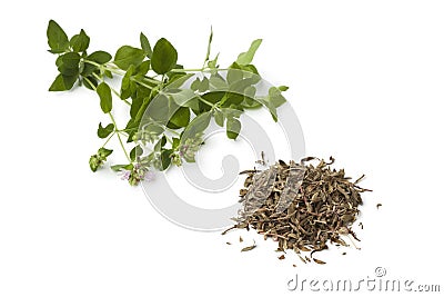 Heap of fresh and dried Moroccan zathar Stock Photo