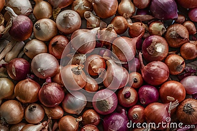 Heap of fresh organic onions, farm produce background Stock Photo