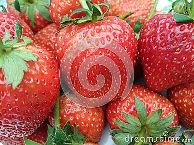 Heap of fresh ripe strawberry fruit with green sepal Stock Photo