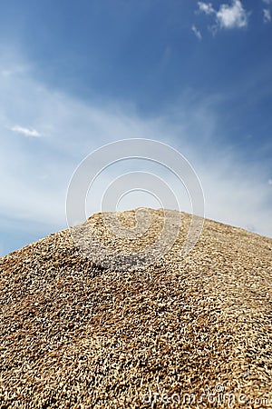 Heap of grains of oats against the blue sky Stock Photo