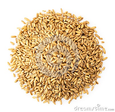 Heap of grains oats on a white. The form of the top. Stock Photo