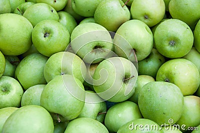 A heap of green apples Stock Photo