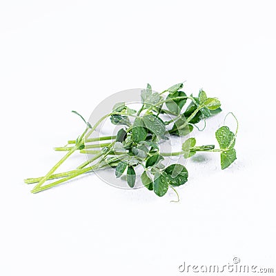 Heap of green pea sprouts, micro greens on white background. Healthy eating concept of fresh garden produce organically Stock Photo