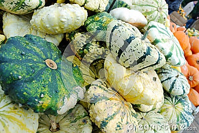 Heap of green striped pumpkins Stock Photo