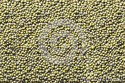 Heap of mung beans texture Stock Photo