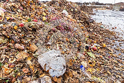 Heap of organic waste at compost recycling station Stock Photo