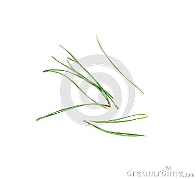 Heap of pine needles isolated on white background Stock Photo