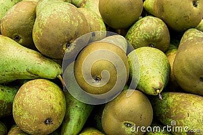 Heap of Ripe Organic Green and Brown Conference Pears at Farmers Market. Bright Vibrant Vivid Colors. Vitamins Superfoods Healthy Stock Photo