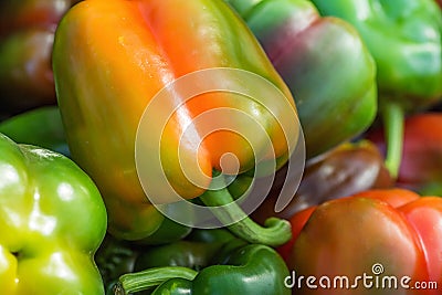 Heap of Ripe Organic Multicolored Bell Peppers Capsicums at Farmers Market. Bright Vibrant Colors. Vitamin Superfoods Healthy Diet Stock Photo