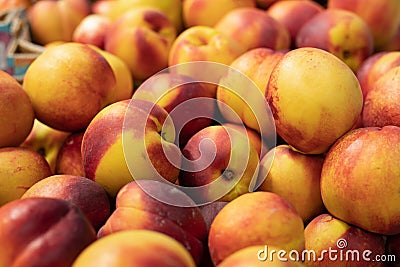 Heap of ripe red yellow aromatic nectarines. Fruit harvest sale. Background backdrop a large number of peaches nectarines in Stock Photo