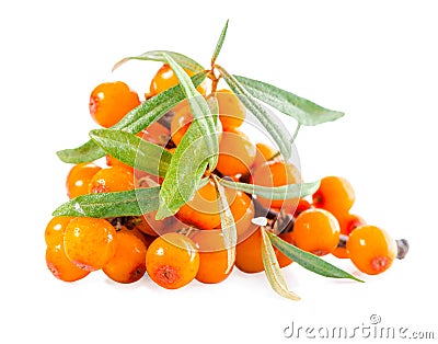 heap of sea buckthorn berries is isolated on white Stock Photo