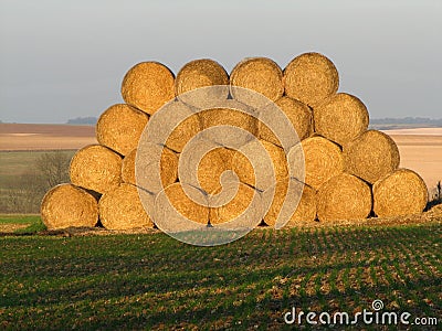 Heap of straw Stock Photo