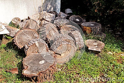 Heap of wood logs ready for winter. Cut tree trunks on grass. Stack of chopped firewood. A pile of woods in the house storage. Stock Photo