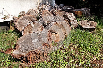 Heap of wood logs ready for winter. Cut tree trunks on grass. Stack of chopped firewood. A pile of woods in the house storage. Stock Photo