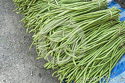 Heap of Yard Long Bean Stock Photo