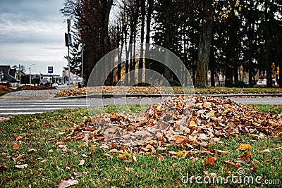 Heaps of autumn leaves in city. Collected in a pile of fallen leaves on a city street. Stock Photo