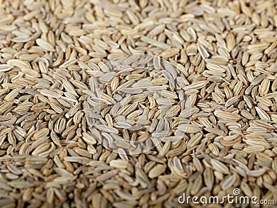 Heaps of dried fennel seeds Stock Photo