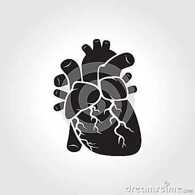 Heart anatomy Vector Illustration