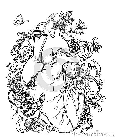 Heart - anatomy picture with flowers Vector Illustration