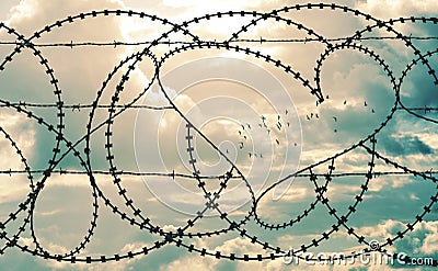 Heart in barbwire frames flock of birds in cloudscape background Stock Photo