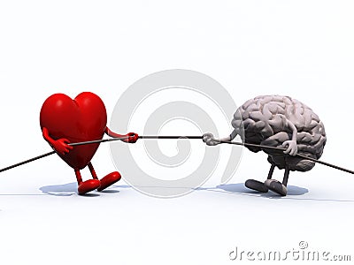 Heart and brain tug of war rope Cartoon Illustration