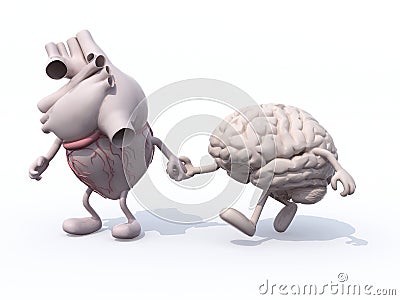 Heart and brain that walk hand in hand Stock Photo