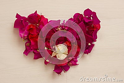 Heart from bright pink flowers Stock Photo