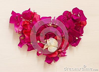 Heart from bright pink flowers Stock Photo