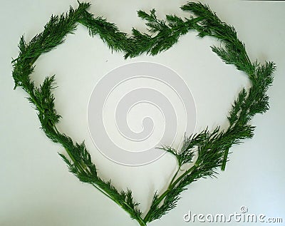 Heart of a bunch of dill on a white background Stock Photo